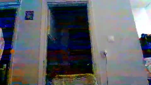 mmpempis81 online show from November 4, 5:14 pm