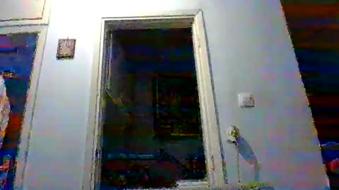 mmpempis81 online show from November 3, 5:03 pm