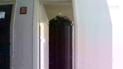 mmpempis81 online show from September 30, 6:57 am