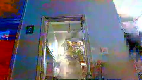 mmpempis81 online show from October 27, 6:46 am