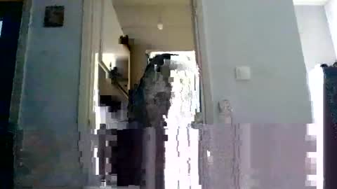 Snapshot of mmpempis81 chatting on February 22, 7:12 am mmpempis81 online show from February 22, 7:12 am