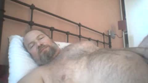 Snapshot of mofu781s chatting on December 11, 8:26 am mofu781s online show from December 11, 8:26 am