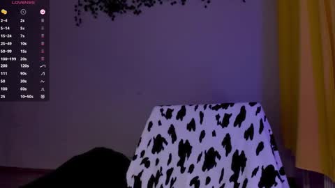 mollytucker online show from April 15, 3:37 pm