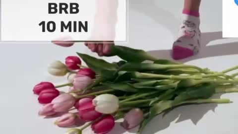 Mommy online show from March 2, 5:08 am