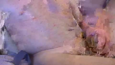 monkeyspank82 online show from June 14, 3:08 am
