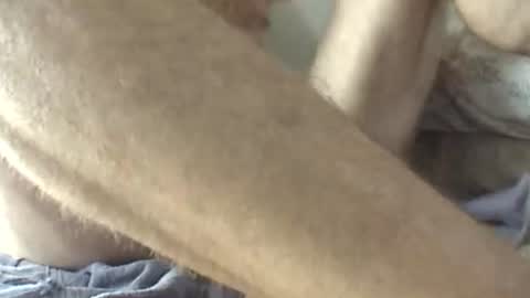monkeyspank82 online show from June 29, 1:44 pm