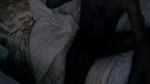 montydxxx2 online show from February 16, 12:36 pm