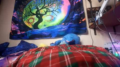 Luna online show from October 20, 11:48 am