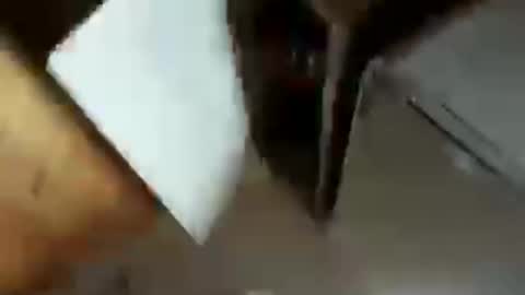 moos1 online show from February 28, 7:34 am