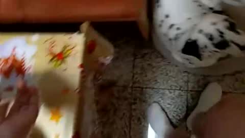 moos1 online show from March 8, 5:55 am