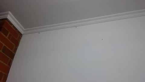 Abelardo online show from April 15, 5:22 am