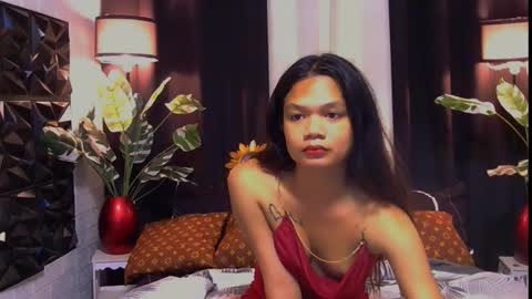 rondina online show from November 16, 8:49 am