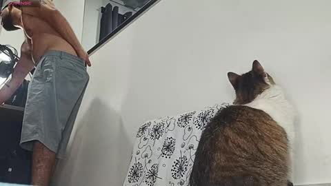 chris online show from October 1, 11:53 am