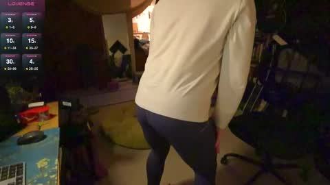 Snapshot of mr_foxxy chatting on February 24, 2:19 am ninko online show from February 24, 2:19 am