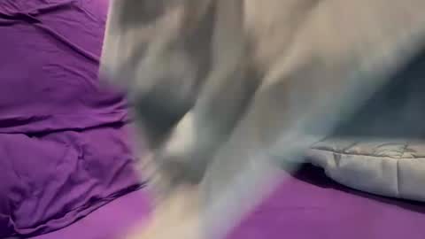 Mr. Diggler online show from January 18, 5:27 am