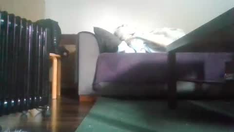 Nikola online show from October 16, 9:09 am