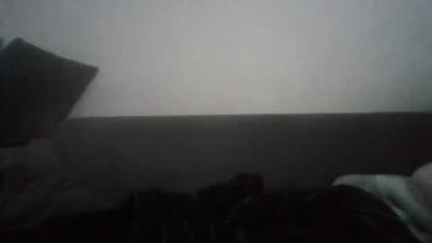 Nikola online show from October 26, 8:04 am