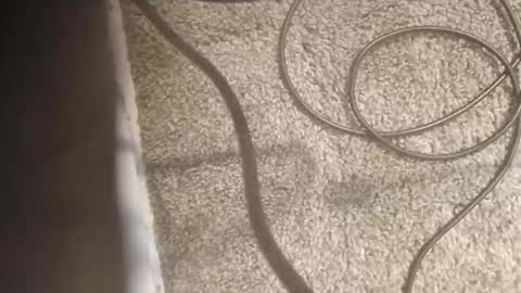 Jacob Matthew online show from October 25, 8:42 pm