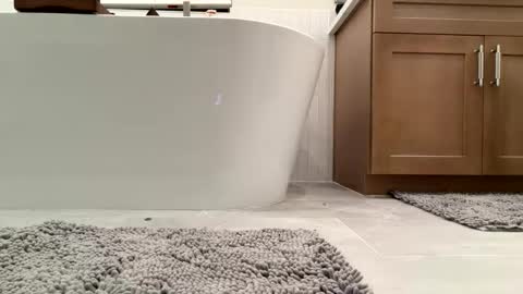 mrsexalot69 online show from April 29, 4:50 am