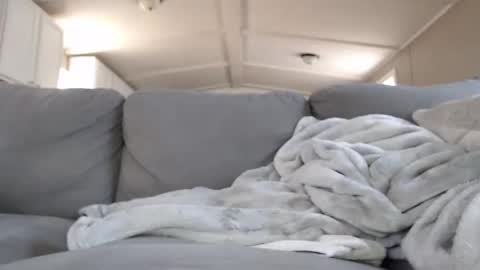 mrshlongboy21 online show from January 14, 9:09 pm