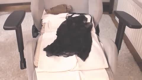  Tips are the best compliments dont forget to add in fav  online show from October 4, 6:22 am