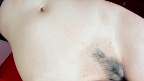Snapshot of ms_pickless chatting on February 25, 12:16 pm Annabelle online show from February 25, 12:16 pm