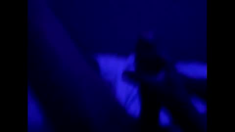 mt220 online show from December 16, 9:57 am