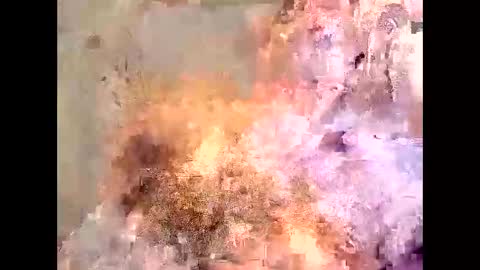 mucinopiano online show from November 25, 4:33 am