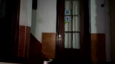 mujersexy0 online show from June 20, 1:12 am