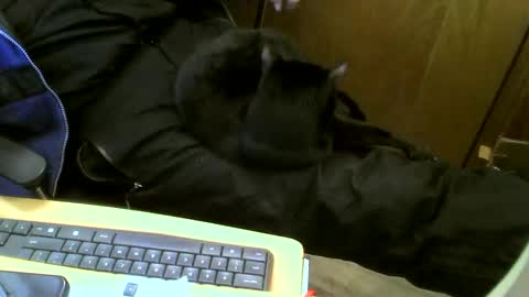 Snapshot of muller520 chatting on February 12, 4:55 pm muller520 online show from February 12, 4:55 pm