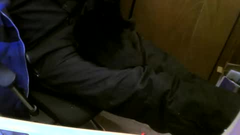 Snapshot of muller520 chatting on February 13, 6:37 pm muller520 online show from February 13, 6:37 pm