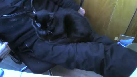 Snapshot of muller520 chatting on February 25, 12:49 pm muller520 online show from February 25, 12:49 pm