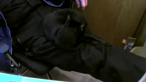 Snapshot of muller520 chatting on February 26, 3:43 pm muller520 online show from February 26, 3:43 pm