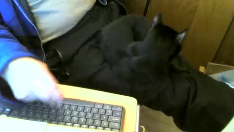 Snapshot of muller520 chatting on March 2, 11:39 am muller520 online show from March 2, 11:39 am