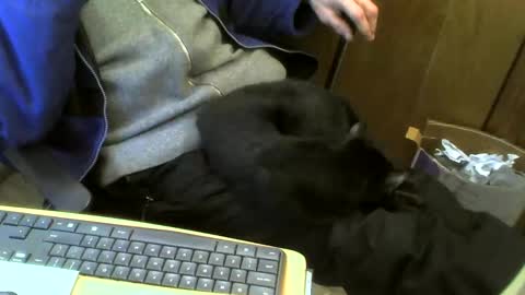 Snapshot of muller520 chatting on February 21, 4:48 pm muller520 online show from February 21, 4:48 pm