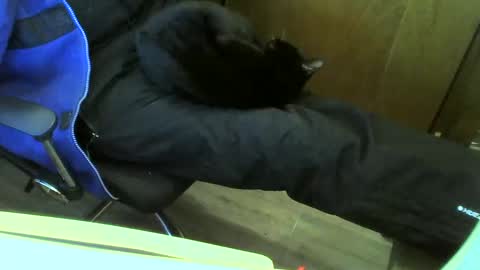 Snapshot of muller520 chatting on February 13, 3:35 pm muller520 online show from February 13, 3:35 pm