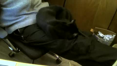 Snapshot of muller520 chatting on February 19, 5:06 pm muller520 online show from February 19, 5:06 pm
