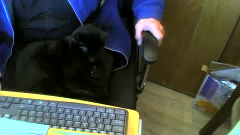Snapshot of muller520 chatting on February 26, 6:48 pm muller520 online show from February 26, 6:48 pm