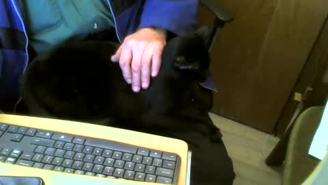 Snapshot of muller520 chatting on February 4, 4:50 pm muller520 online show from February 4, 4:50 pm