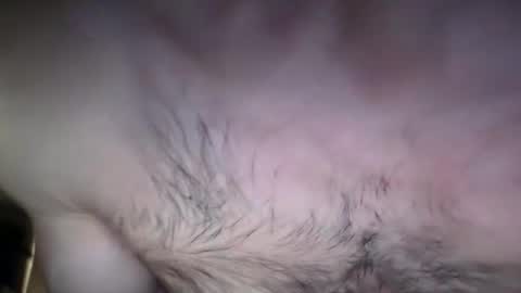 Snapshot of musclehair3 chatting on February 26, 8:36 pm musclehair3 online show from February 26, 8:36 pm
