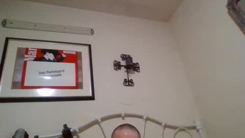 mustang2020gt123 online show from February 4, 11:25 am