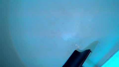 Serena online show from February 8, 8:31 am