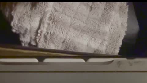 mybbcforyou_ online show from December 16, 9:59 am