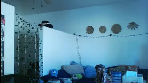 LA MARIPOSA DE MARICOPA online show from March 2, 9:43 pm