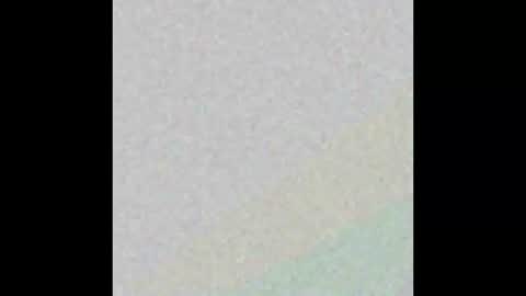 n33ds2br33d online show from November 4, 7:15 pm