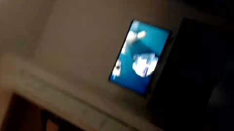 nakedassman online show from December 1, 11:25 pm