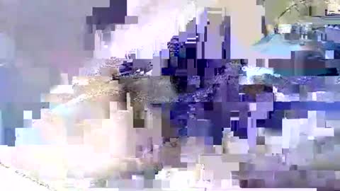 Nane online show from May 26, 2:45 pm
