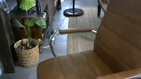 nareth338 online show from September 21, 8:46 pm