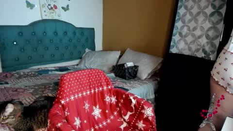 Natalia online show from November 12, 12:35 am