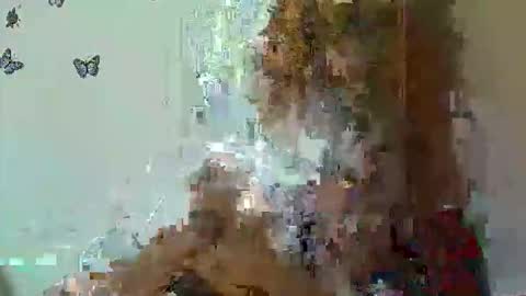 sexxy online show from September 27, 7:44 pm